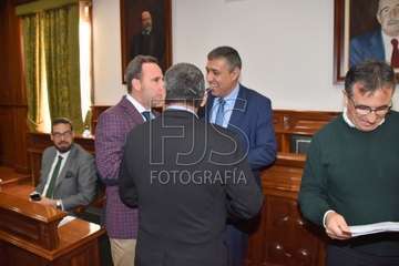 Pleno ordinario de enero de 2020 (Foto TA)